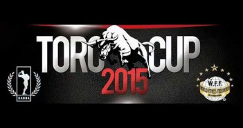 toro cup 2015